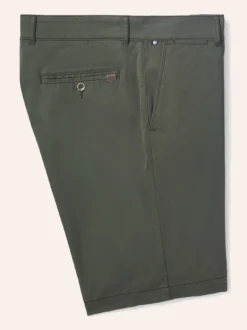 Chino Shorts