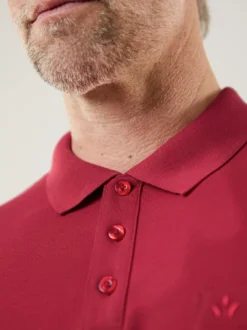 Pique-Polo Pima Cotton